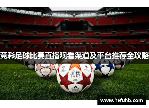 竞彩足球比赛直播观看渠道及平台推荐全攻略